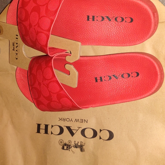 Coach Slides - Picture 2 of 3